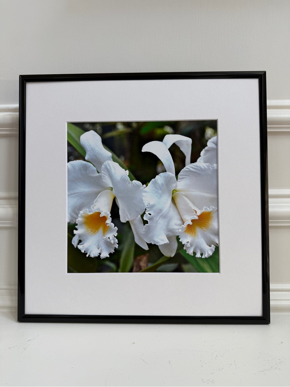 White Orchid Floral Photography Print in Black Frame 12x12 NWOT